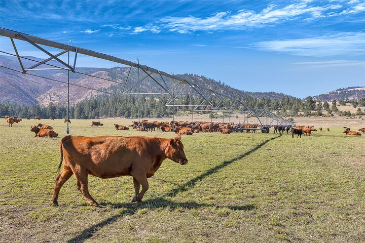 Property Photo: 000 South Pastures MT 59833