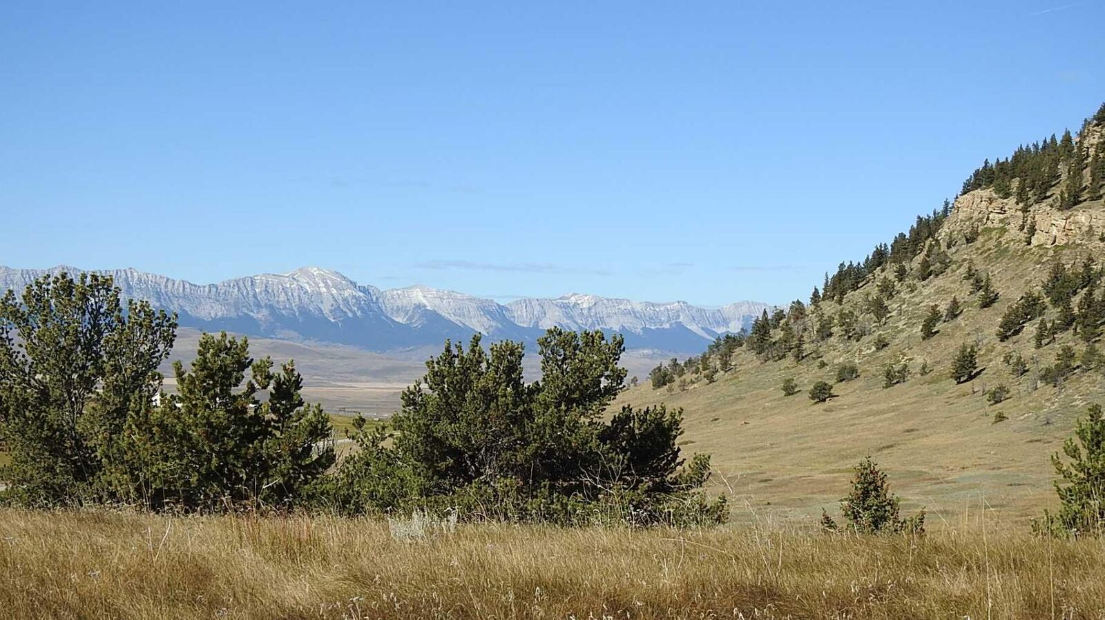 Property Photo: 157 Acres Snake Trail AB T9K 1W0