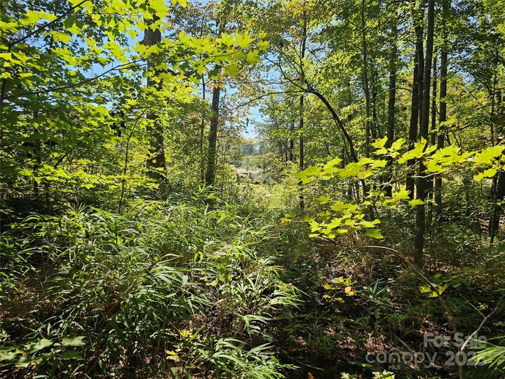 Property Photo: Tbd Lackey Town Road NC 28762