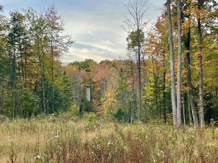 39.76 Acres County Road Z  Birnamwood WI 54414 photo