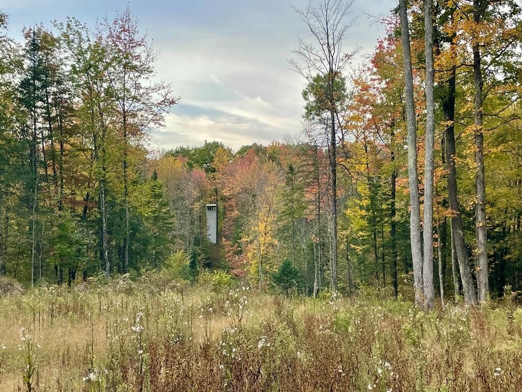 Property Photo: 39.76 Acres County Road Z WI 54414