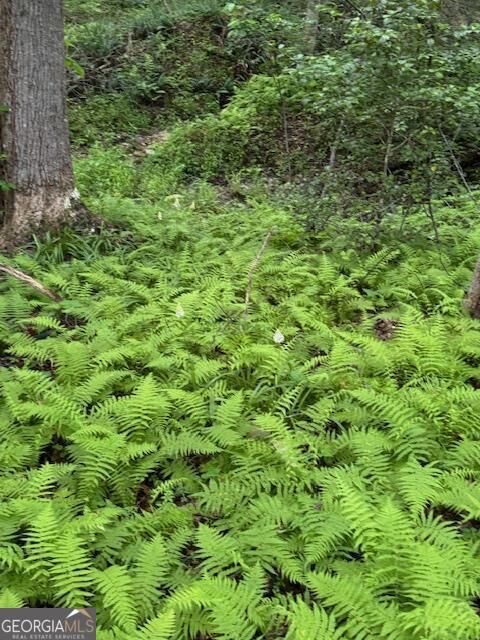 Property Photo: 0 Gumlog Road GA 30582