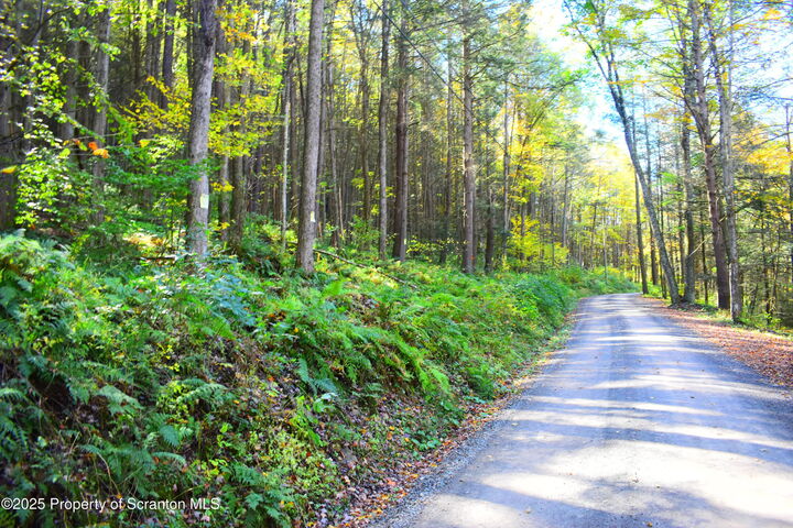 Property Photo:  Graham Hollow Road  PA 18822 