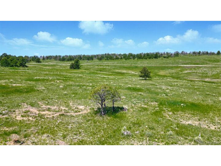 Property Photo:  Parcel #4 County Road 91  CO 80832 