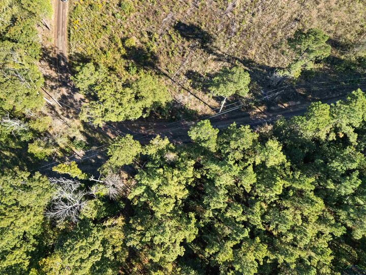 Property Photo: Tbd Cr 1882 TX 75563
