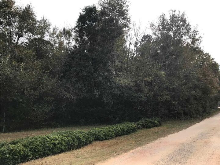 Property Photo: 24050 River Road N AL 36526