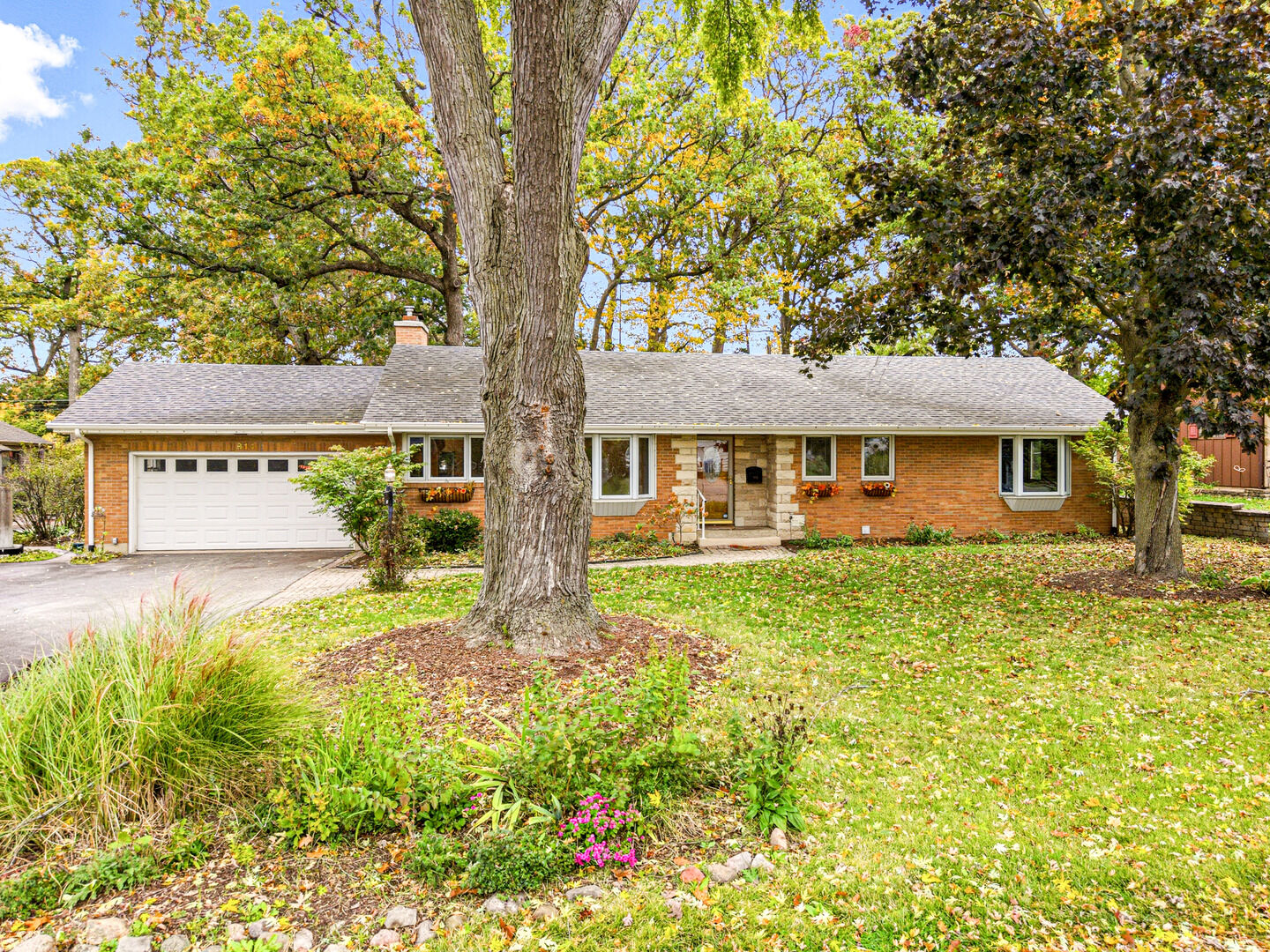 Property Photo: 814 Woodlawn Drive IL 60115
