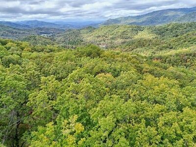 Property Photo: Lot 31 Skyview Drive NC 28904