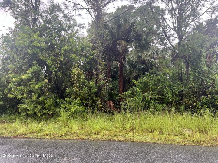 Property Photo:  149 Feldman Street SE  FL 32909
