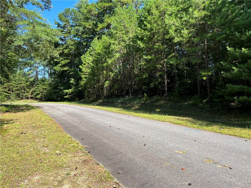 Property Photo: 20 Vineyard Park SC 29685