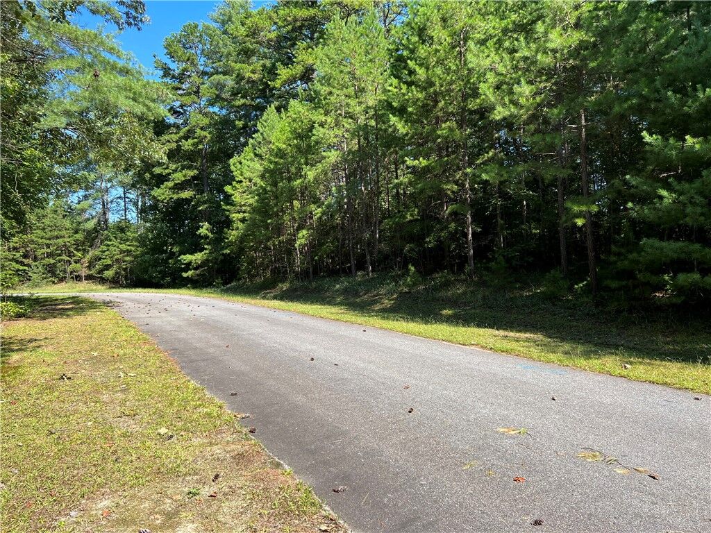 Property Photo:  20 Vineyard Park  SC 29685 