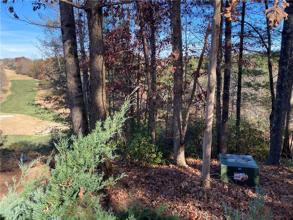 Property Photo:  120 Course View Way  SC 29685 