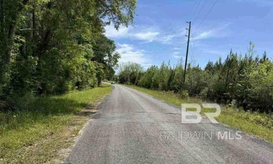 Property Photo:  0 Horace Odom Road  AL 36558 