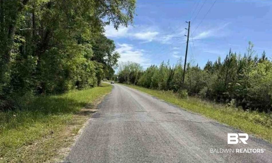 Property Photo:  0 Horace Odom Road  AL 36558 