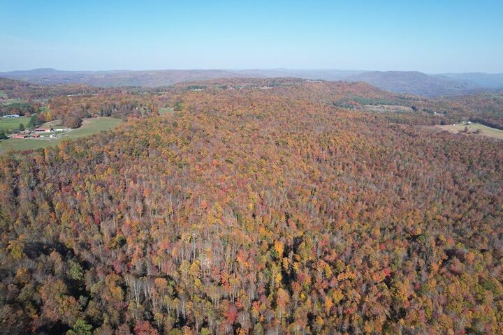 Property Photo: 185 Gerber Daisy Trail WV 25918