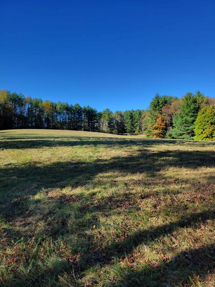 Property Photo: 0 Hurricane Ridge Road WV 25958