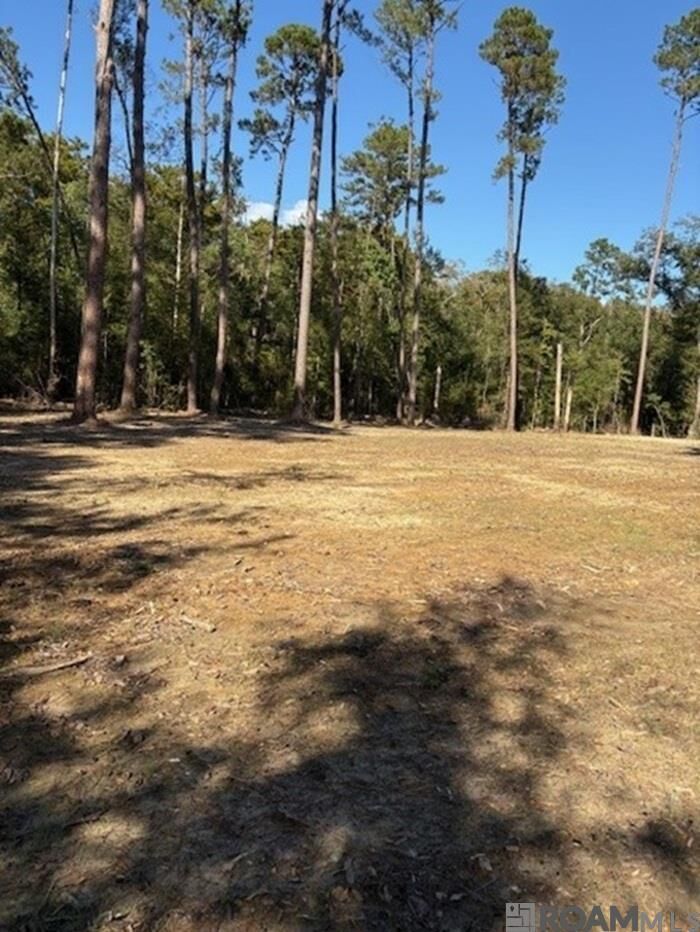 Property Photo:  24063 La Hwy 22 Highway  LA 70449 