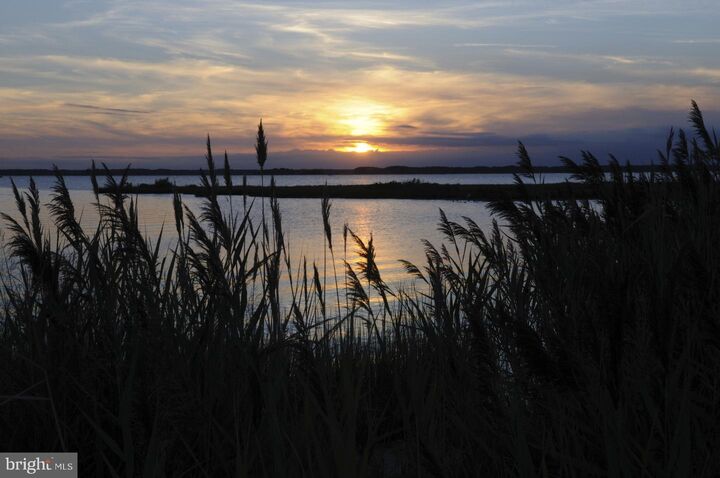 Property Photo: 12108 Coastal Highway 301 MD 21842