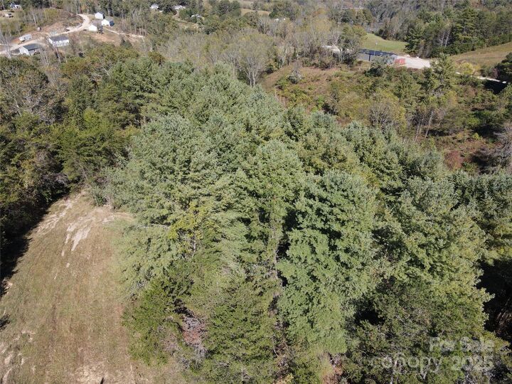 Property Photo: 150 Old Macedonia Road NC 28804