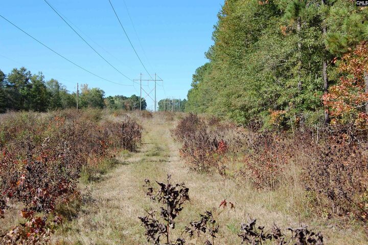 Property Photo: 322 Sandspur SC 29020