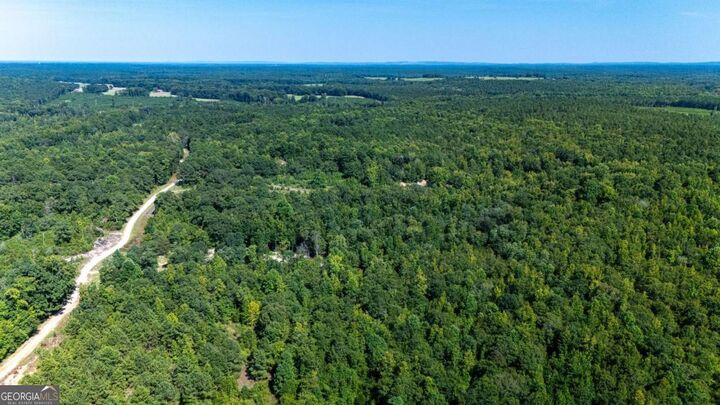 0 Branch Hebron Road  Greenville GA 30222 photo