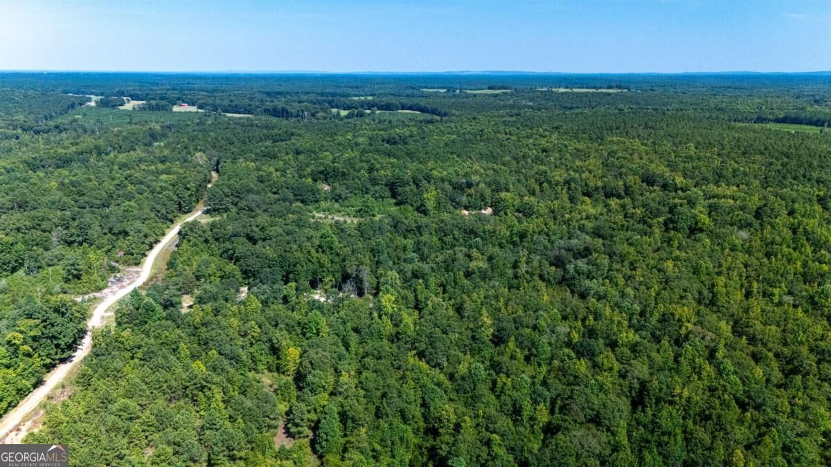 Property Photo: 0 Branch Hebron Road GA 30222