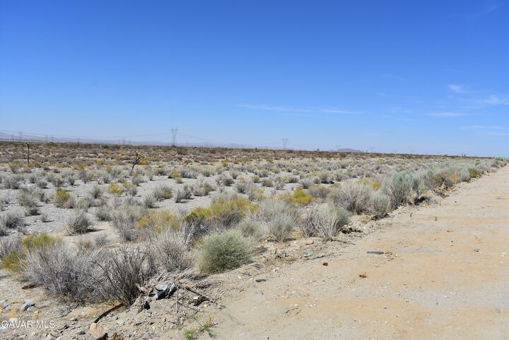 Property Photo:  Pearblossom Hwy &Amp Vic 146th E  CA 93553 