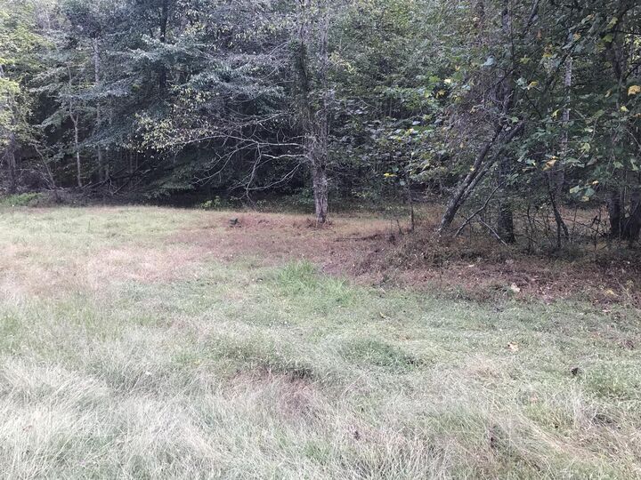 Property Photo: 0 Farmhouse Trail 91.2 Acres Land KY 40351