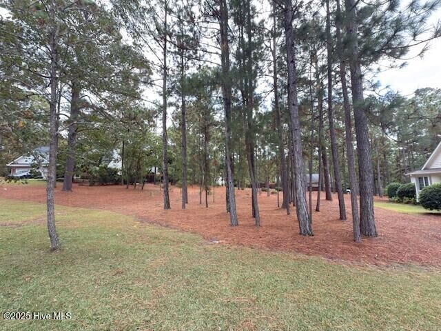 Property Photo: 6 Georgia Court NC 28374