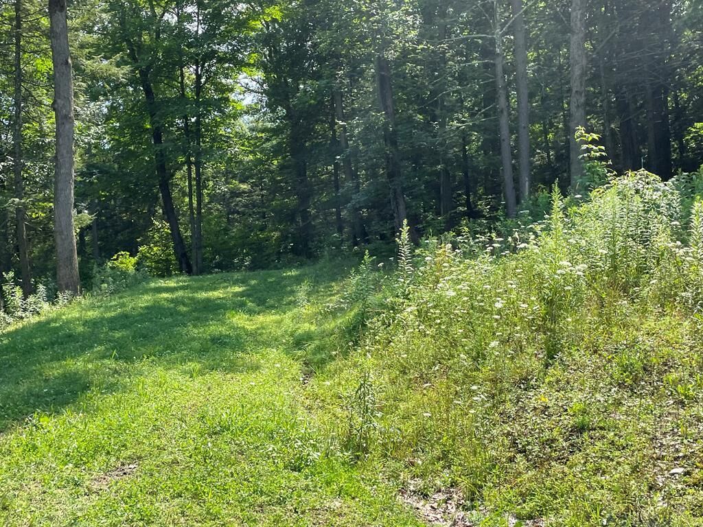 Property Photo: Lot 43A Hemlock Hills Rd PA 18848