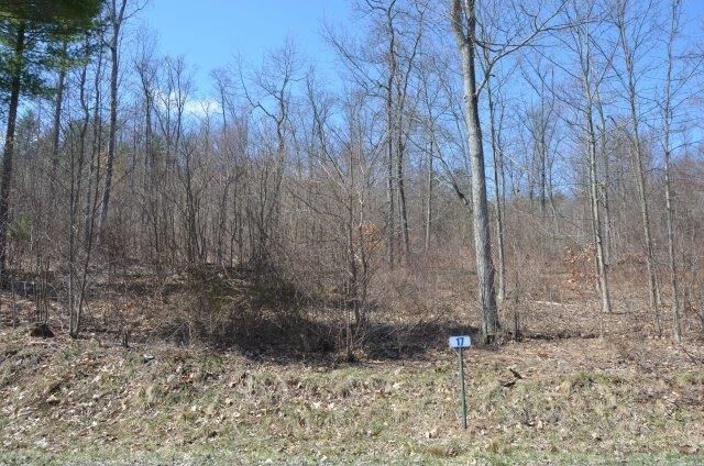 Property Photo:  Lot 17A Hemlock Hills Rd  PA 18848 