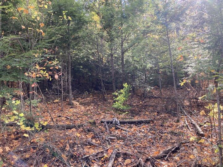 Property Photo: Abnaki Trail NH 03223