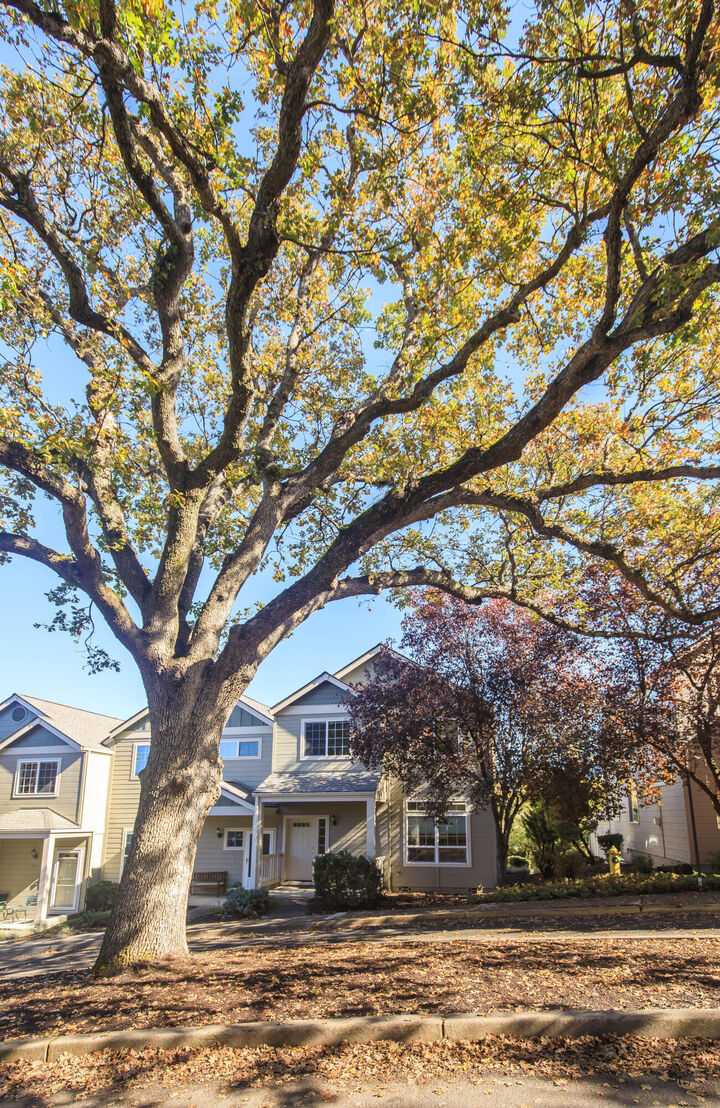 Property Photo: 496 Starflower Lane OR 97520