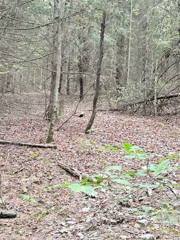 Property Photo: 00 Dalton Hill Road NY 13811