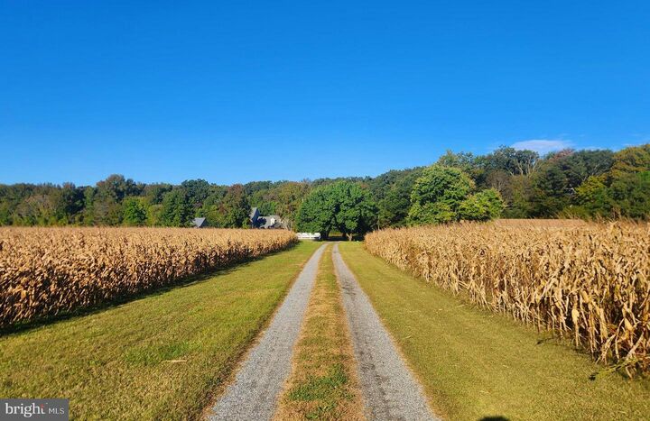 Property Photo: 28824 Adkins Road MD 21875