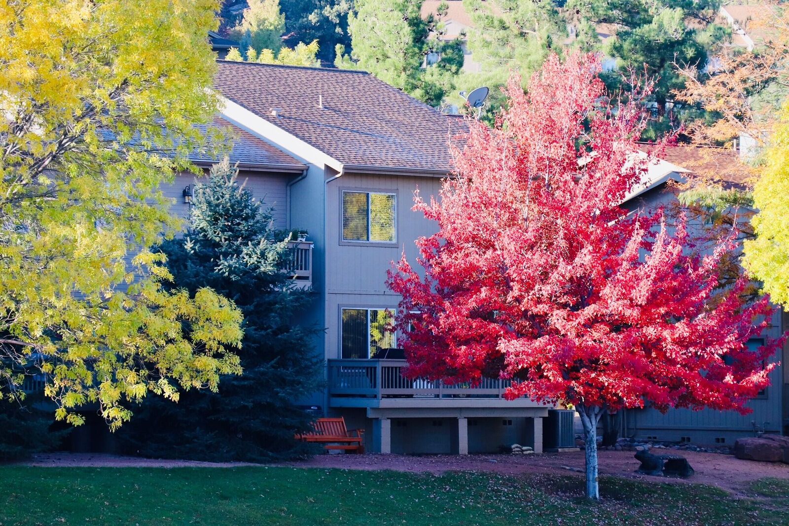 Property Photo:  912 W Madera Lane  AZ 85541 