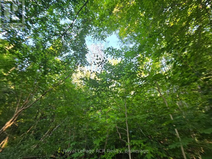 Property Photo:  126 Old Highway 26 Highway  ON N4L 1W7 