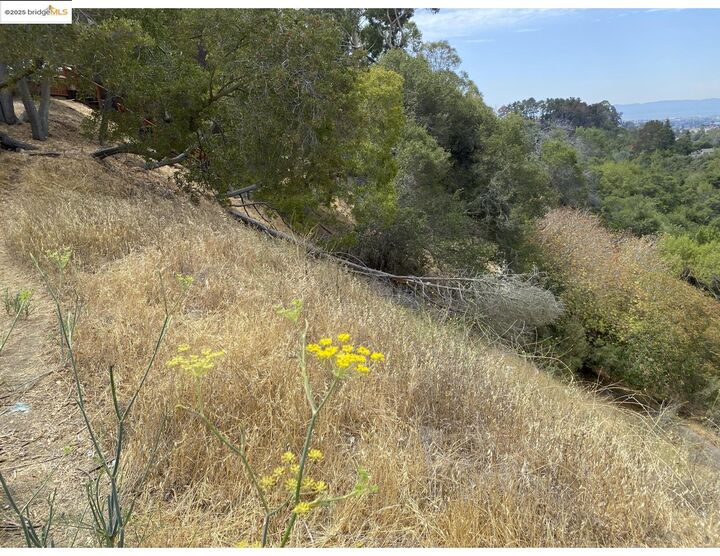Property Photo: 4145 Oak Hill Rd CA 94605