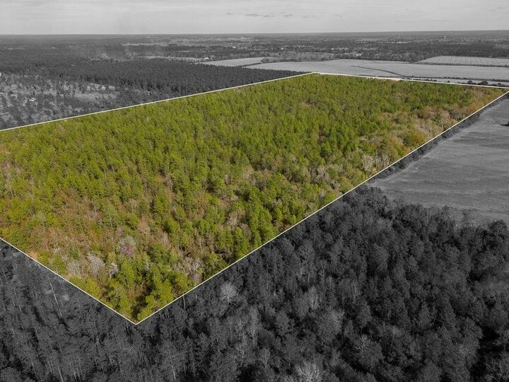 0000 N Bob Brooks Road  Baker FL 32531 photo