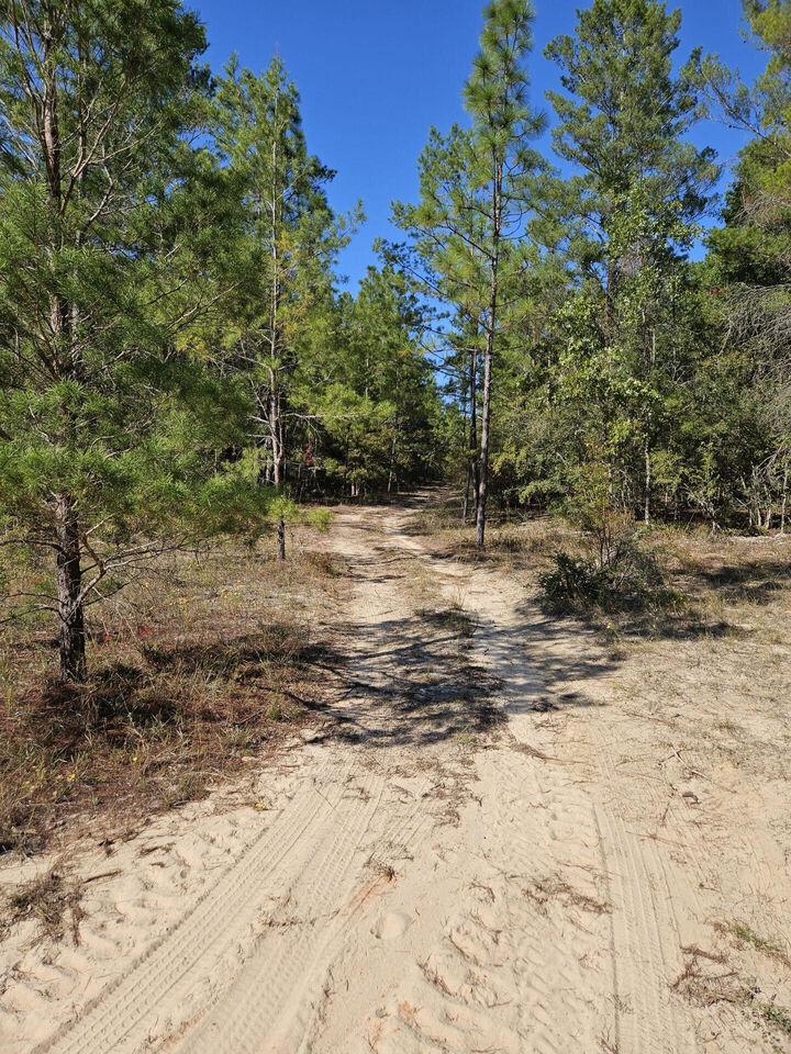 3902 Clearview Drive  Crestview FL 32539 photo