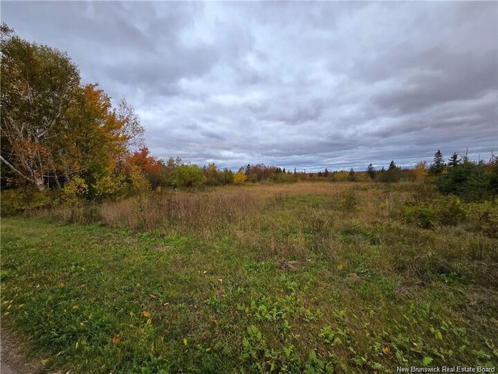 Property Photo:  8782sm Blvd Des Acadiens  NB E1W 1L9 