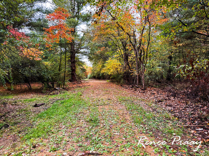 Property Photo:  3913 112th Avenue  MI 49010