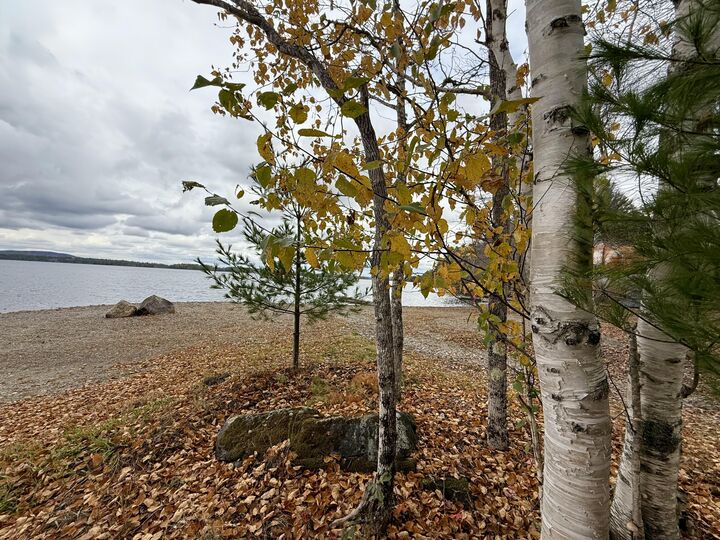 Property Photo:  22 Pine Tree Shores  ME 04694 