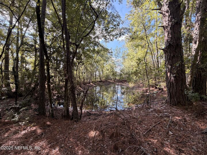 Property Photo: 1168/1178 Windridge Lane FL 32009