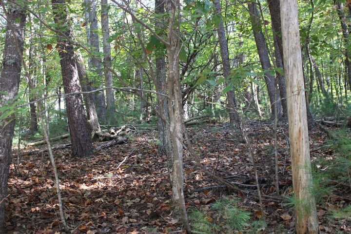 Property Photo: Lot 546 North Satsuma Court GA 30540