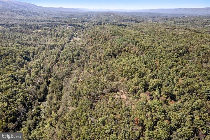 Property Photo: Lot 2 Back Creek Rd VA 22637