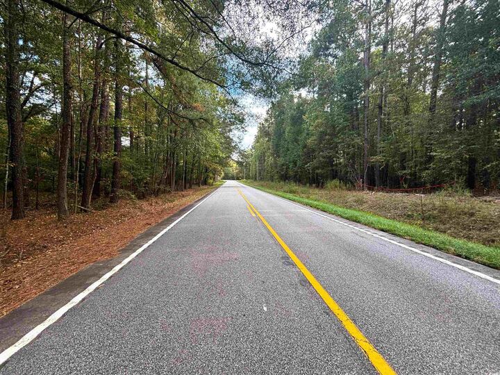 Property Photo: 0 Marlboro Way SC 29512