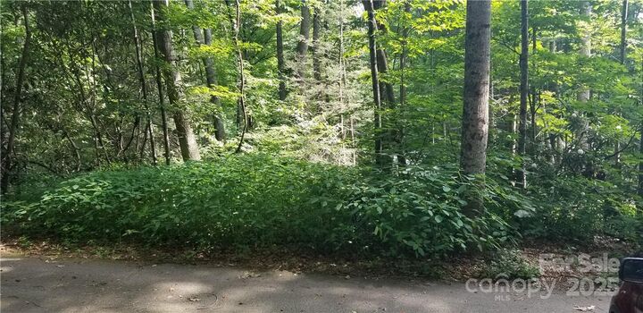 Property Photo: Lot C31 Shady Lane NC 28751