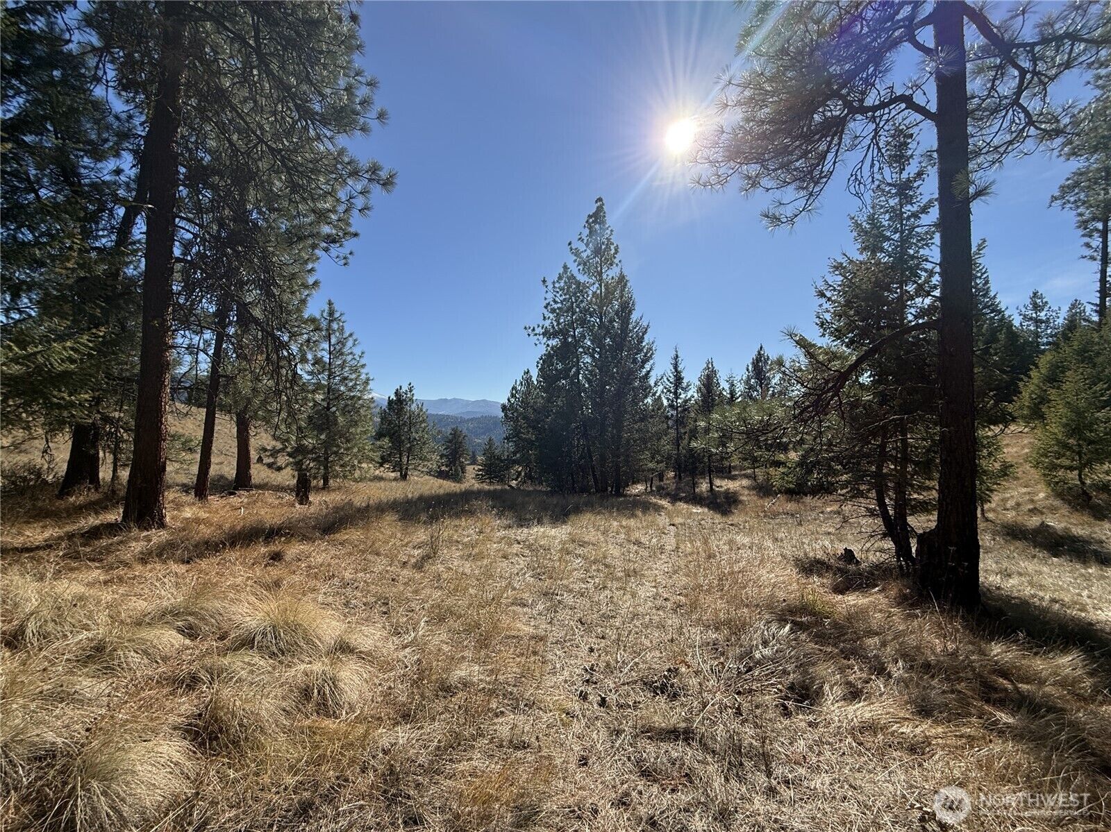 Property Photo: 9999 Shade Tree Lane WA 99166