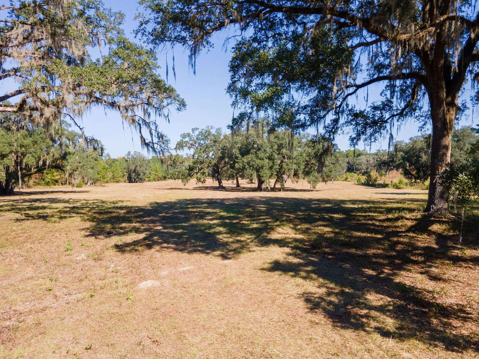 Property Photo: Z Gardners Farm Road FL 32312
